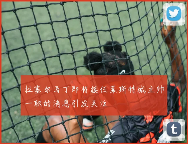 拉塞尔马丁即将接任莱斯特城主帅一职的消息引发关注